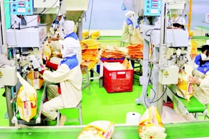 Đóng gói gạo xuất khẩu tại Nhà máy của Công ty TNHH MTV Lương thực Thạo Sơn, tỉnh An Giang. (Ảnh: TTXVN)