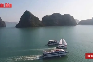 Quảng Ninh đẩy mạnh du lịch sinh thái biển đảo