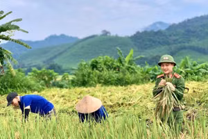 Sự nỗ lực của chính quyền địa phương và các lực lượng trong toàn xã, trong đó có lực lượng công an đã góp phần mang lại cuộc sống bình yên cho người dân xã Tiền Phong - một xã biên giới của tỉnh Nghệ An.