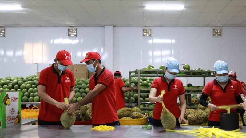 Công nhân đóng gói trái cây xuất khẩu tại Công ty Vina T&T Group. (Ảnh MINH ANH)