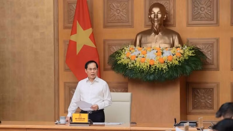 Phó Thủ tướng Bùi Thanh Sơn.