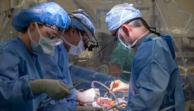 (Ảnh minh họa: Northwestern Medicine)