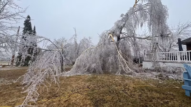 Miền nam Manitoba cũng có thể hứng chịu lượng tuyết rơi từ 10-20 cm do cơn bão Alberta Clipper.