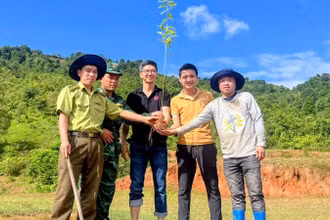 "Góp lá vá rừng 2025" hướng tới mục tiêu trồng 60.000 cây, phủ xanh 100ha tại khu rừng phòng hộ thuộc bản Pha Luông, xã Chiềng Sơn, tỉnh Sơn La.