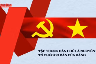 Tập trung dân chủ là một trong những nguyên tắc “rường cột” của Đảng cộng sản cũng như chính quyền của các giai cấp vô sản trên thế giới.