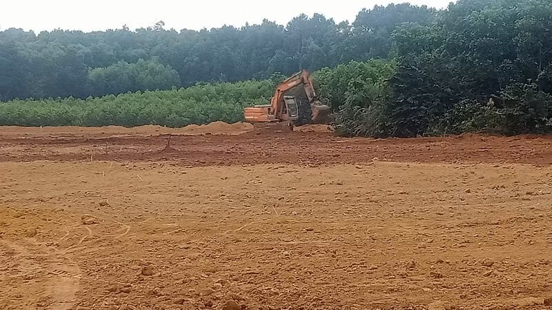 Diện tích bị bùn đất vùi lấp do sự cố đã cơ bản được cải tạo, làm đất tơi xốp, bằng phẳng để người dân tái sản xuất.