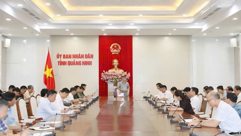 Tỉnh Quảng Ninh họp chỉ đạo công tác phòng, chống bão số 11.