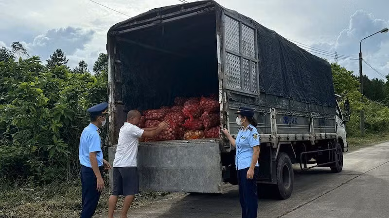 Lực lượng chức năng phát hiện và thu giữ 9.100kg ngao không rõ nguồn gốc, xuất xứ.