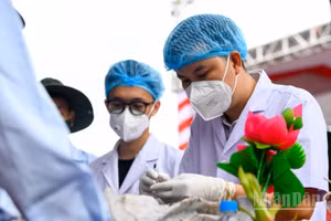 Ban chỉ đạo 515 tỉnh Nghệ An phối hợp Viện Hàn lâm Khoa học và Công nghệ Việt Nam tiến hành lấy mẫu phân tích ADN, đối chiếu đưa vào hệ thống để xác định danh tính liệt sĩ với 80 hài cốt liệt sĩ quân tình nguyện và chuyên gia Việt Nam hy sinh tại nước Cộng hòa Dân chủ Nhân dân Lào được an táng tại Nghĩa trang Liệt sĩ Nghi Lộc, xã Đông Lộc, tỉnh Nghệ An cuối tháng 5/2026. (Ảnh: nhandan.vn) 