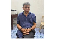 Đối tượng Bùi Mạnh Hải bị bắt giữ. 