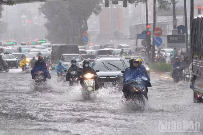 (Ảnh: THÀNH ĐẠT)
