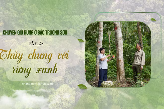 Thủy chung với rừng xanh