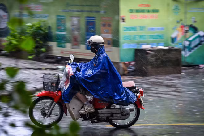 (Ảnh minh họa: THÀNH ĐẠT)