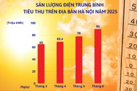 Sản lượng điện trung bình tiêu thụ điện trên địa bàn thành phố Hà Nội năm 2025. (Ảnh: EVNHANOI)