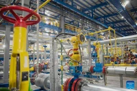 Liên minh châu Âu nhất trí ngừng nhập khẩu khí đốt của Nga