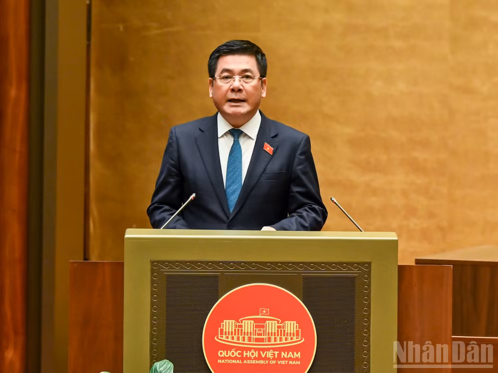 ndo_br_bt-nguyen-hong-dien.jpg