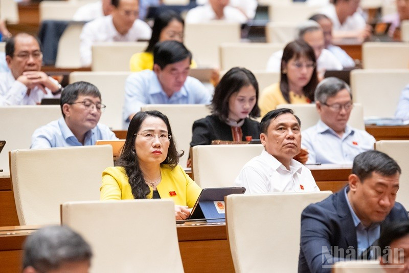 Các đại biểu tham dự phiên họp của Quốc hội. (Ảnh: DUY LINH) ndo_br_bnd-4254.jpg