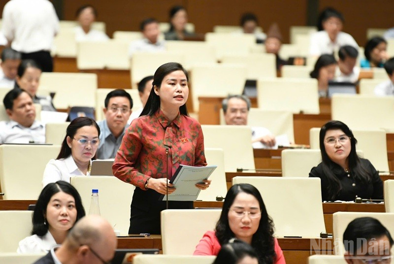 Đại biểu Đặng Thị Bảo Trinh (Quảng Nam). (Ảnh: DUY LINH) ndo_br_dang-thi-bao-trinh-quang-nam.jpg