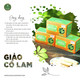 Trà túi lọc giảo cổ lam