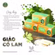 Trà túi lọc giảo cổ lam