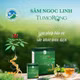 Trà sâm Ngọc Linh hòa tan