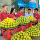 Táo Động Tiên