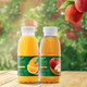 Nước trái cây TH true JUICE 