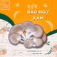 Nấm bào ngư xám Hồng Ân