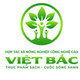 Chanh Việt Bắc