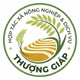 Cốm xanh Thượng Giáp