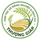 Cốm xanh Thượng Giáp