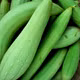 Mướp hương