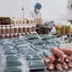 Chả lụa Thảo Sinh