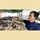 Nấm rơm tươi Hòa Thọ Tây 
