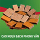 Cao ngựa bạch Phong Vân