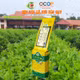 Trà nõn tôm Tân Cương Hảo Đạt
