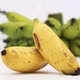Chuối ngự Đại Hoàng