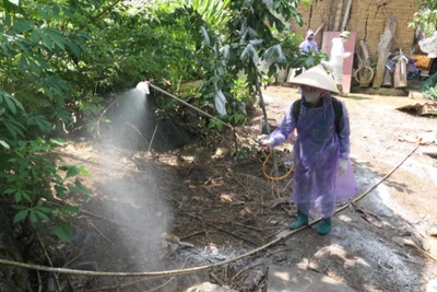 Phun hóa chất khử khuẩn tại vùng có bệnh dịch tả lợn châu Phi tại xã Quản Bạ.