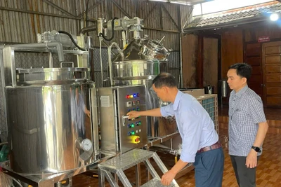 Nghiệm thu đề án hỗ trợ máy hạ thủy phần tại Công ty Trách nhiệm hữu hạn Xuất nhập khẩu nông sản Bình An.