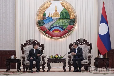 Phó Thủ tướng Hồ Đức Phớc hội kiến Thủ tướng Chính phủ Lào Sonexay Siphandone. (Ảnh: DUY TOÀN)