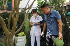 Cán bộ y tế đang giám sát chỉ số bọ gậy tại hộ gia đình trên địa bàn Hà Nội.