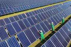 Năng lượng xanh - Hướng đi bền vững để phát triển kinh tế. 