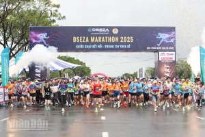 Vận động viên, người lao động tham gia giải chạy.