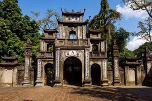 Ảnh minh họa.