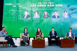 Toàn cảnh hội thảo Tái cấu trúc các kênh dẫn vốn.