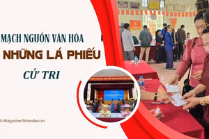 Mạch nguồn văn hóa từ những lá phiếu cử tri