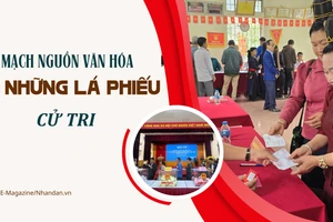 Mạch nguồn văn hóa từ những lá phiếu cử tri