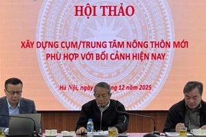 Các đại biểu dự hội thảo.