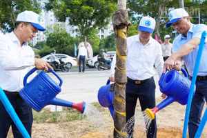 Lãnh đạo thành phố trồng cây xanh.