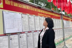 Cử tri phường Hòa Khánh đọc thông tin trên bảng niêm yết. 